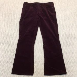 NWT Talbots corduroy bootcut pants - size Petite 10